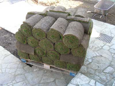 Der Rollrasen